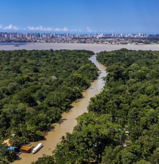 Net-Zero Challenge: the Supply Chain Opportunity