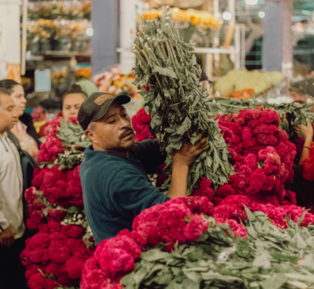 Call for feedback: public consultation on environmental pillar is now open for Florverde® Sustainable Flowers (FSF)